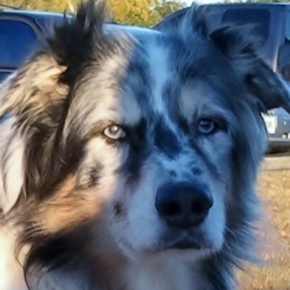 Meet your Posher, Alejandro ๐๐ฝ๐พ - Picture 1 of 2